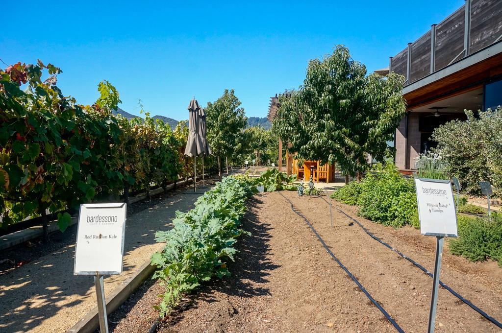 Bardessono Hotel And Spa Yountville Exterior foto